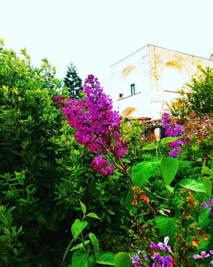 أليسانو Masseria Delle Rose 1760 المظهر الخارجي الصورة